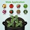 Ipower Grow Bag 20 gallon 10 pack with green edge, 10PK GLGROWBAG20X5EGRNX2 - alternate 7